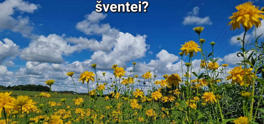 Žolinių savaitgalis Plungėje