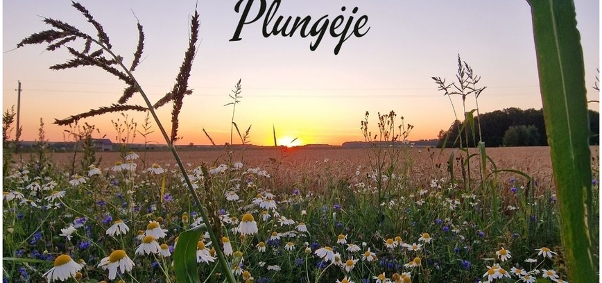 Plungės TIC rekomendacijos kaip praleisti paskutinį vasaros savaitgalį Plungėje