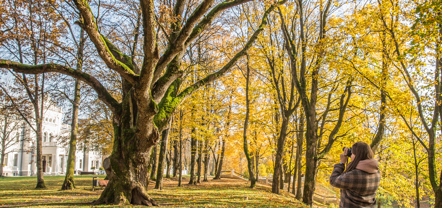 Rudeniški pasivaikščiojimai Plungės apylinkėse