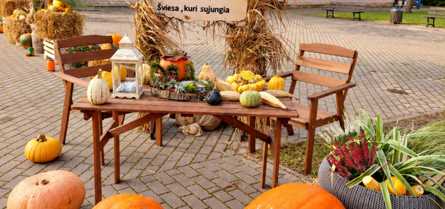 Moliūgų alėja - šviesa, kuri sujungia!