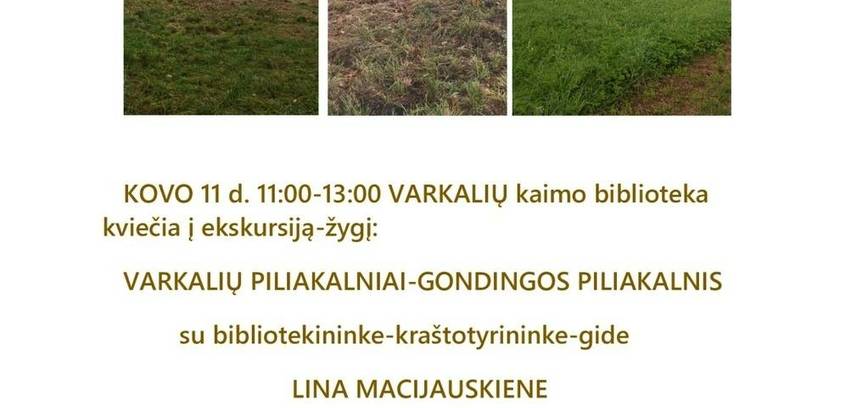 Ekskursija - žygis: Varkalių piliakalniai - Gandingos piliakalnis
