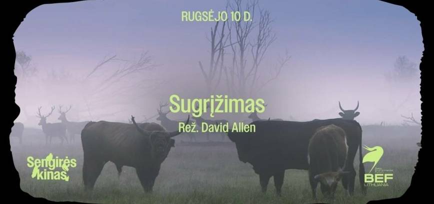 Sengirės kino dokumentinis filmas „Sugįžimas”
