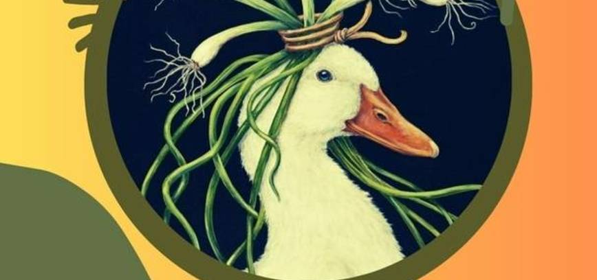 CIBULINIS Šateikiuose