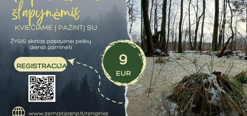 Žygis Paplatelės miško šlapynėmis