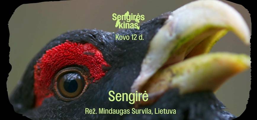 SENGIRĖS KINAS Plungės viešojoje bibliotekoje: „Sengirė“