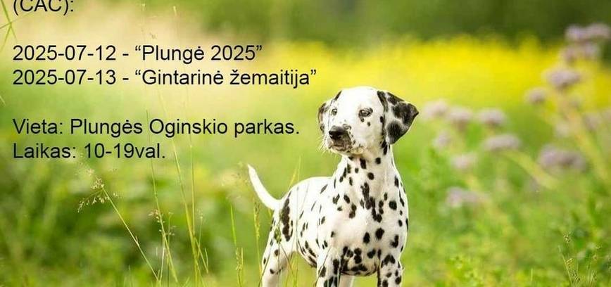 Šunų parodos (CAC) „PLUNGĖ 2025“ ir „GINTARINĖ ŽEMAITIJA 2025“