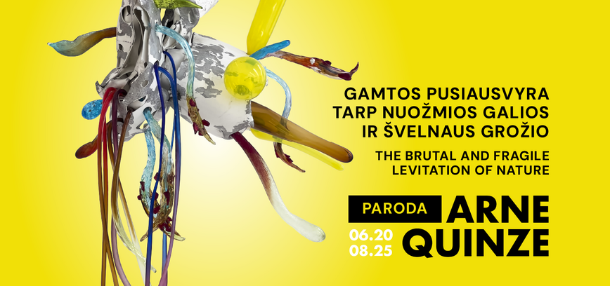 ARNE QUINZE - The Brutal and Fragile Levitation of Nature