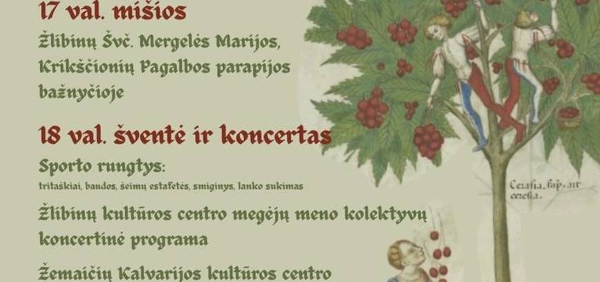 Žolinės Žlibinuose