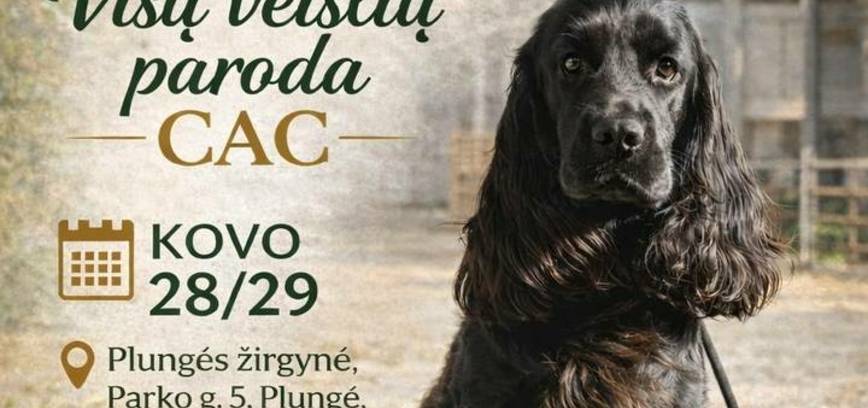 Visų veislių šunų paroda