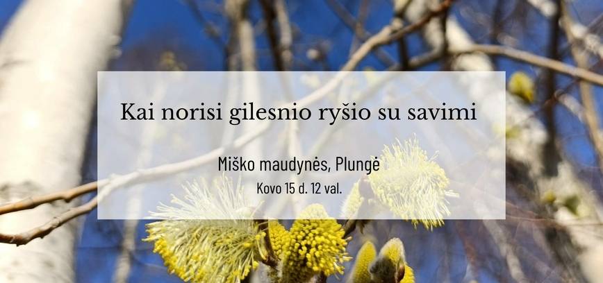 Miško maudynės. Plungė