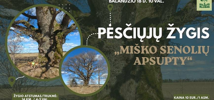 Pėsčiųjų žygis „Miško senolių apsupty“