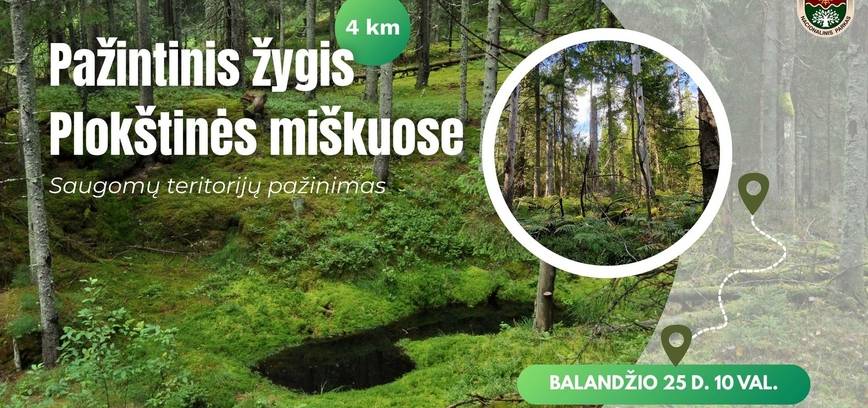 Pažintinis žygis Plokštinės miškuose: saugomų teritorijų pažinimas