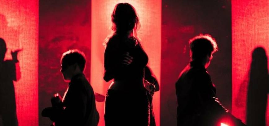 Teatro studijos ,,Išlaisvink šešėlį“ (Lietuva,Vilnius)   spektaklis „Deja Vu“