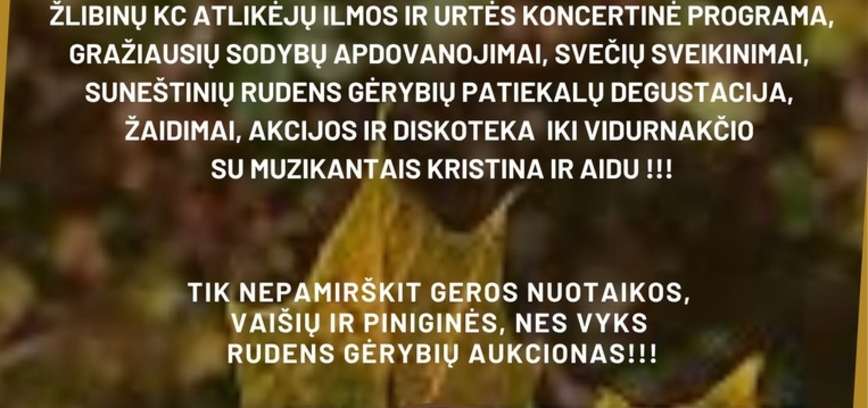 Rudens šventė - auksinis ruduo 