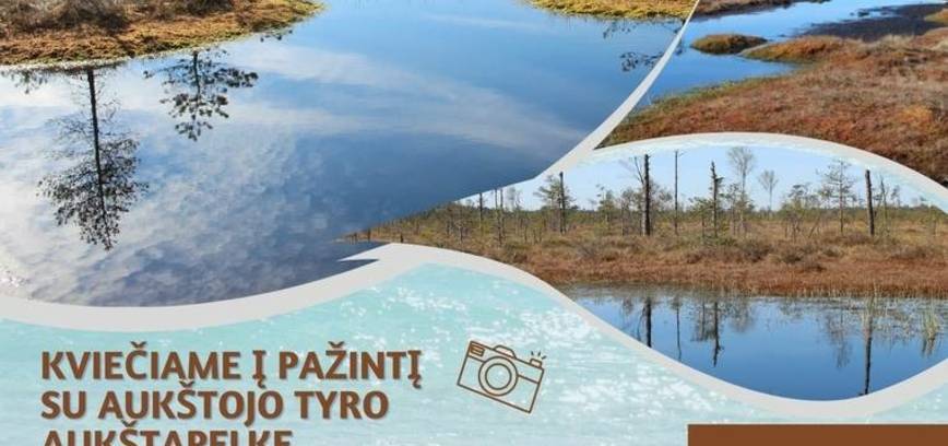 Pažintis su aukštojo tyro aukštapelke