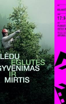 Kino filmas „Kalėdų eglutės gyvenimas ir mirtis“ su režisieriumi Artūru Javdokimovu