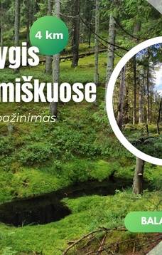 Pažintinis žygis Plokštinės miškuose: saugomų teritorijų pažinimas