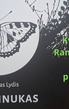 Ramūno Lydžio knygos „Dilgėlinukas“ 