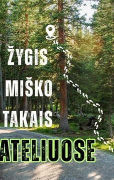 Žygis miško takais Plateliuose