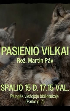 Sengirės kinas: filmas ,,Pasienio vilkai“