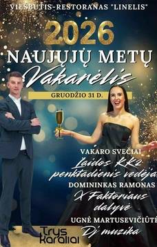 Naujųjų metų vakarėlis