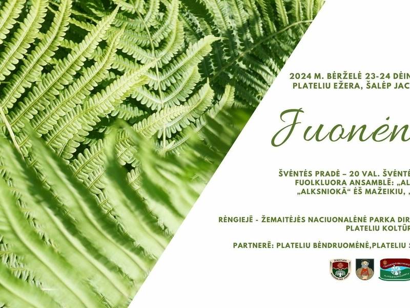 JUONĖNĖS PLATELIŪS