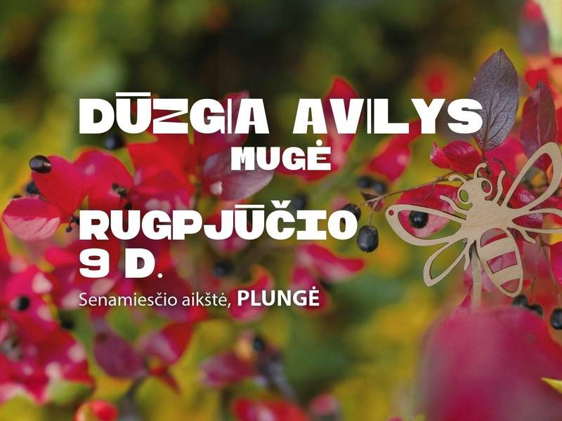 Mugė DŪZGIA AVILYS Plungėje