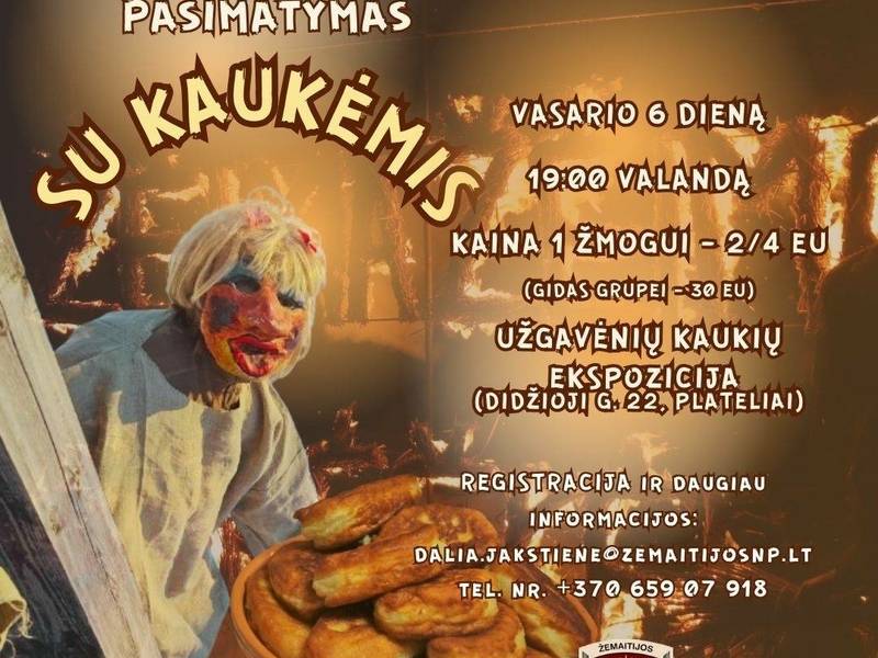 Naktinis pasimatymas su kaukėmis