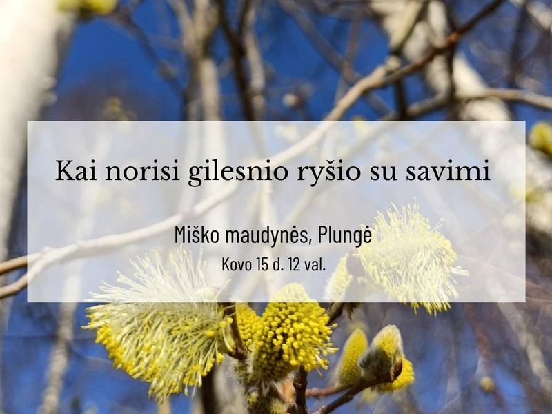 Miško maudynės. Plungė