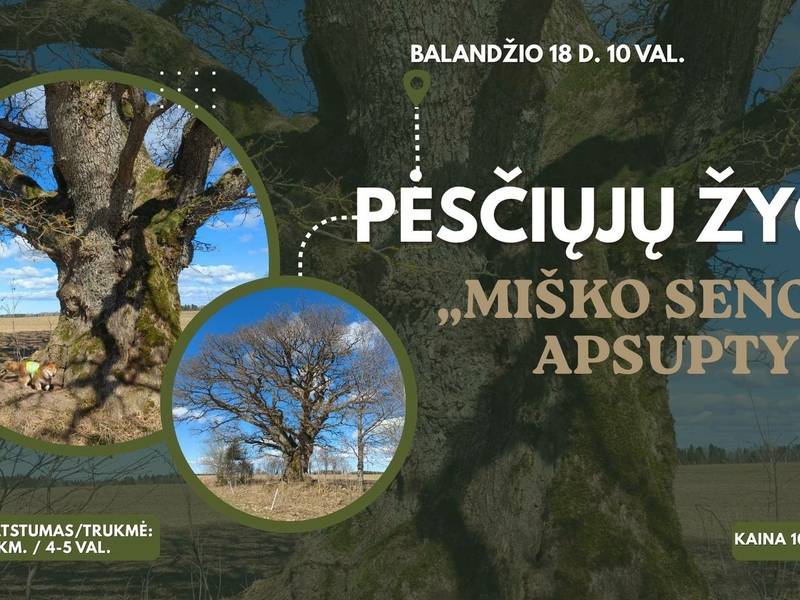 Pėsčiųjų žygis „Miško senolių apsupty“