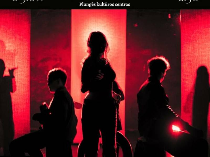 Teatro studijos ,,Išlaisvink šešėlį“ (Lietuva,Vilnius)   spektaklis „Deja Vu“