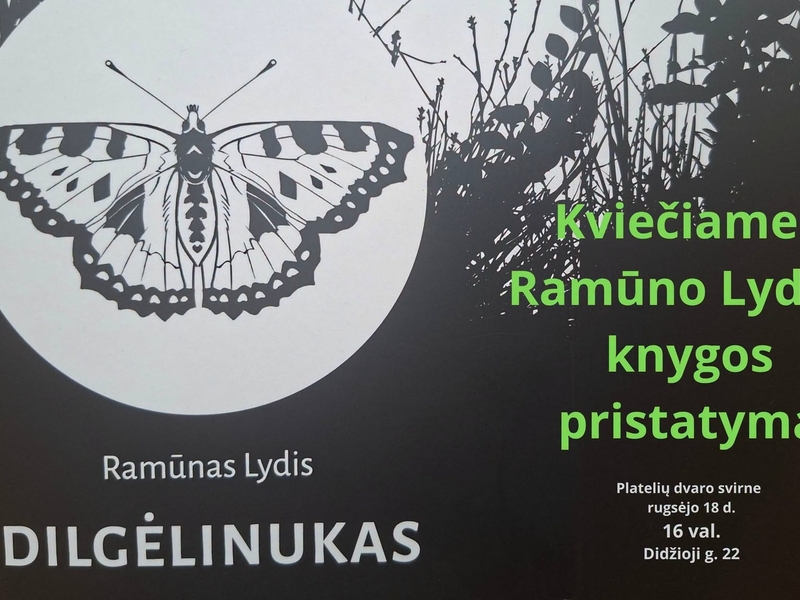Ramūno Lydžio knygos „Dilgėlinukas“ 