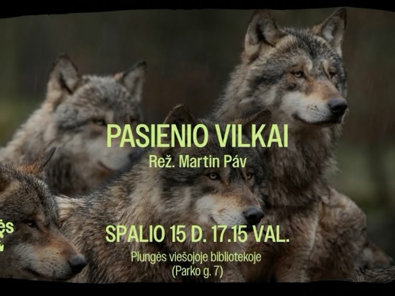 Sengirės kinas: filmas ,,Pasienio vilkai“