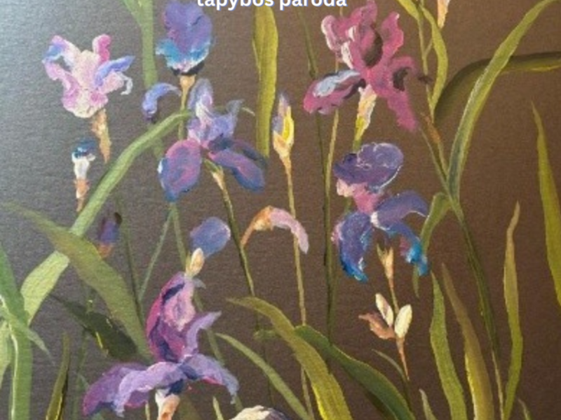 Dailininkės Astos Bonniot tapybos darbų parodos atidarymas