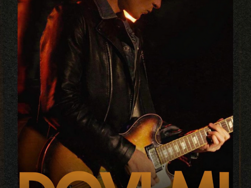 Atlikėjo Dovi Mi koncertas