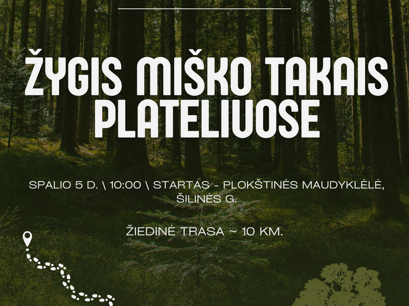 Žygis miško takais Plateliuose 