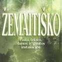 PLUNGĒS PILSĒTAS SVĒTKI” 24